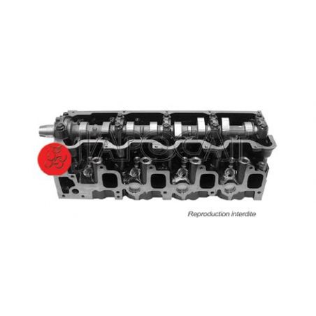 CULASSE EQUIPEE 2LN 30KILOS