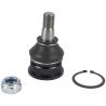 BALL JOINT (Lower) (Aftermarket)