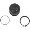 BALL JOINT (Lower) (Aftermarket)