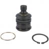 BALL JOINT (Lower) (Aftermarket)