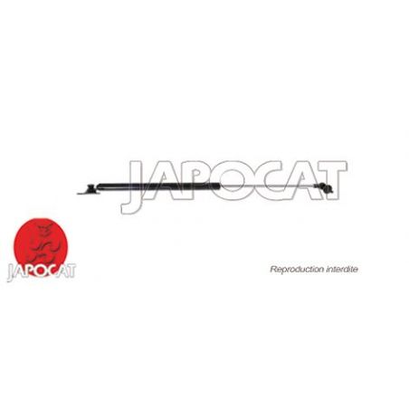 VERIN HAYON D J10 ORIGINE