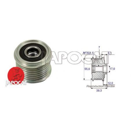 POULIE DEBRAY D'ALTER DDIS