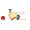 KIT FILTRATION DISCO I 300TDi