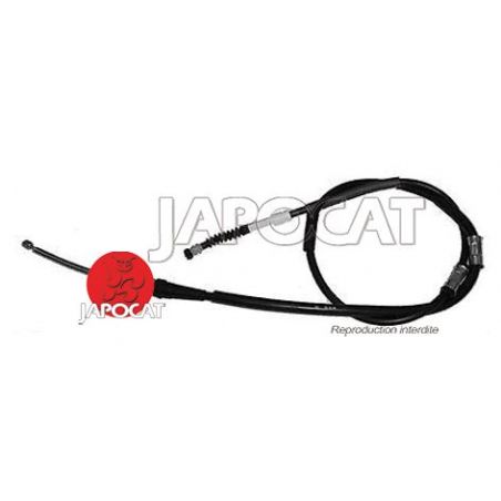 CABLE F.A.M L: 1556mm