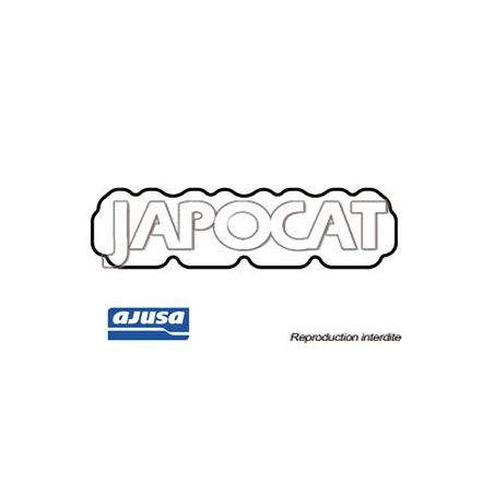 JOINT de COUVRE CULASSE WRANGLER