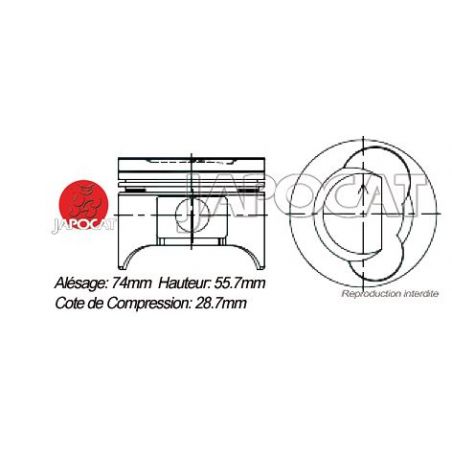 KIT PISTONS G13 TEIKIN H:55.7mm