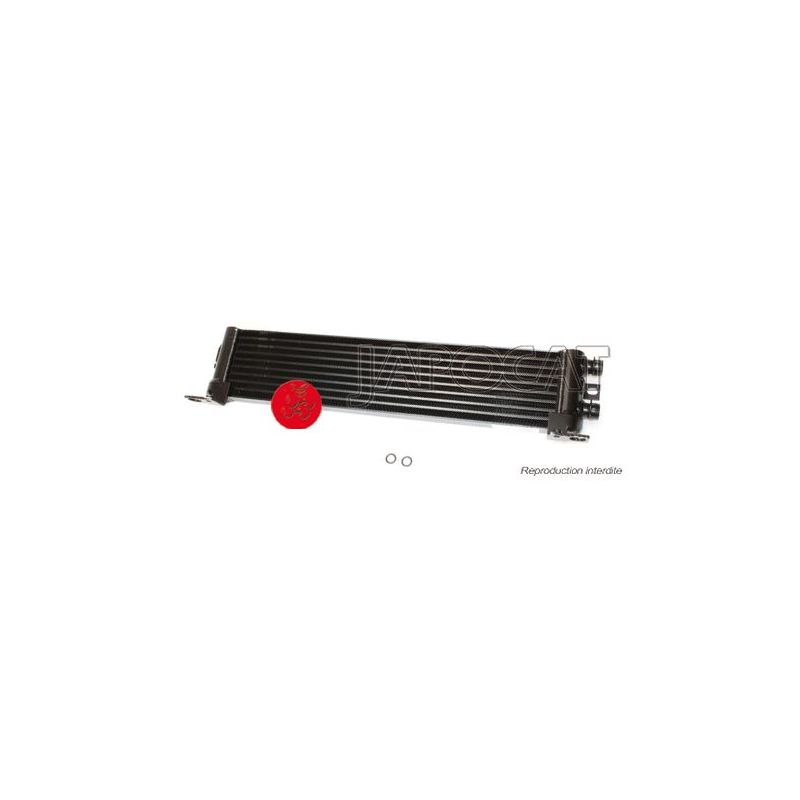 RADIATEUR D'HUILE P38 2,5DT