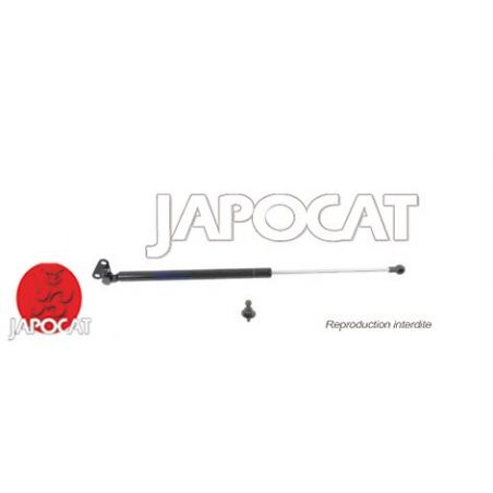 VERIN HAYON G J10 ORIGINE