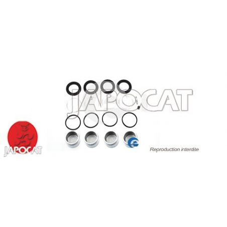 KIT DE JOINTS + PISTON D'ETRIER +48