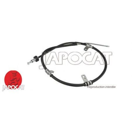 CABLE F.A.M ARG PICANTO
