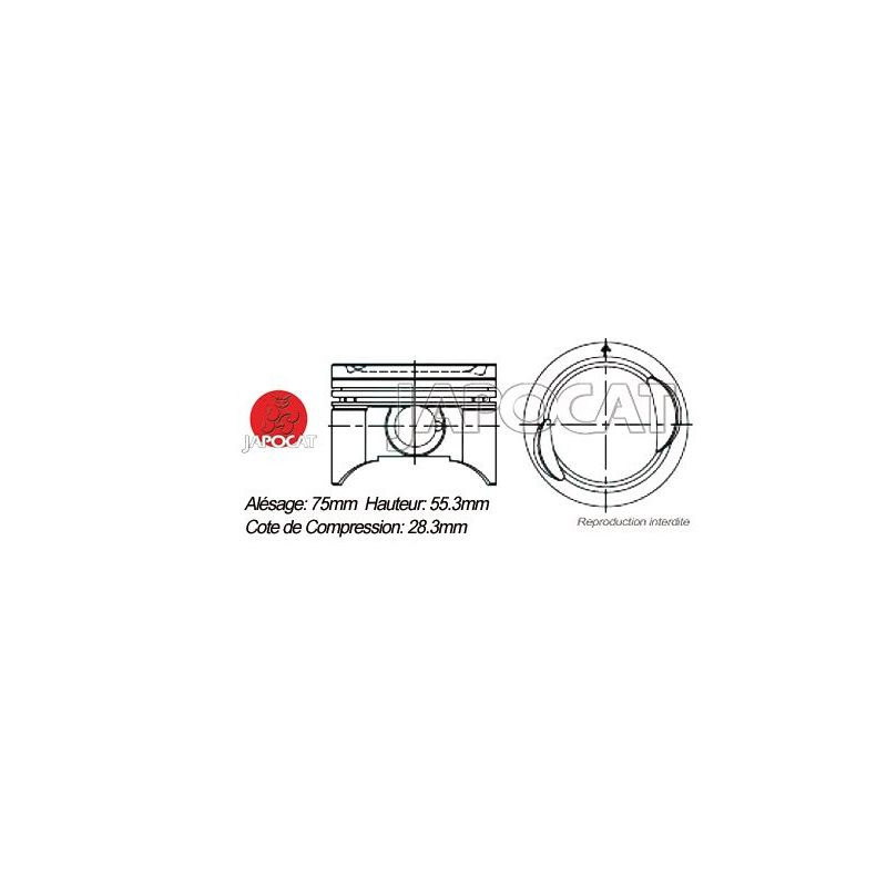 KIT PISTONS G16 TEIKIN H:55.3mm