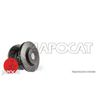 DISQUE AR CAPTIVA EBC x2 DISQUE AR CAPTIVA EBC x2