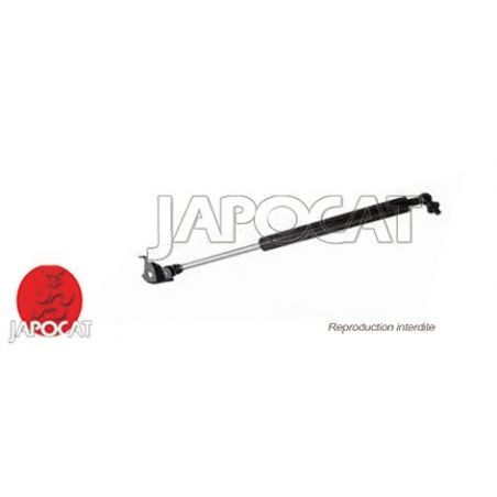 VERIN CAPOT G J8 ORIGINE