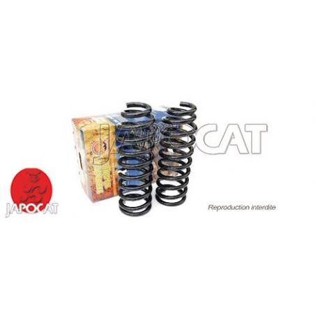 RESSORT HELICOIDAUX TT  LA PAIRE