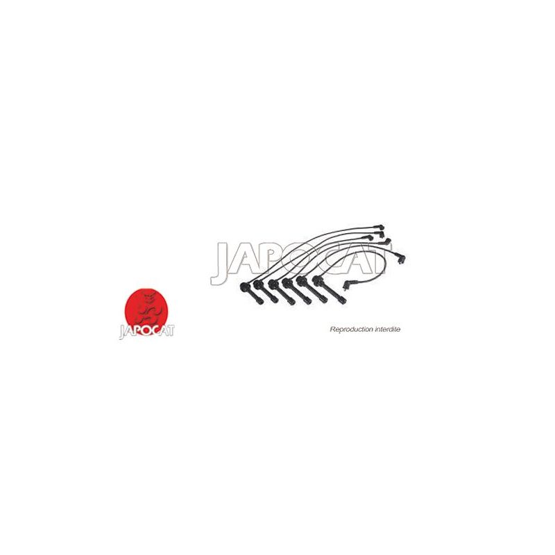 FAISCEAU ALLUMAGE GALANT