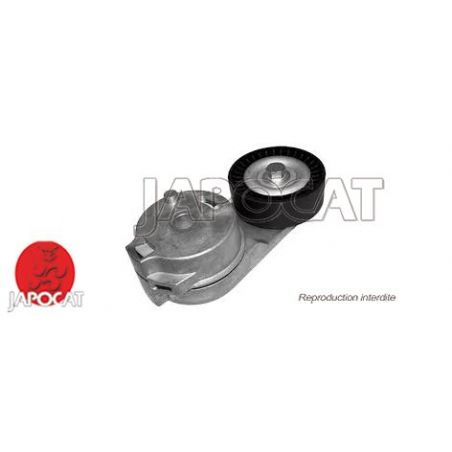 TENDEUR DE COURROIE 300C/WH