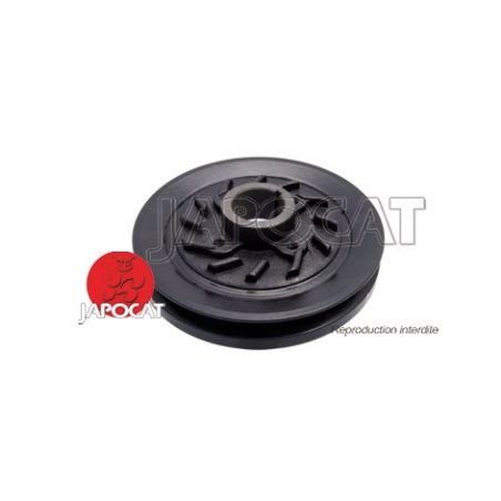 POULIE de VILEBREQUIN (Origine Constructeur)