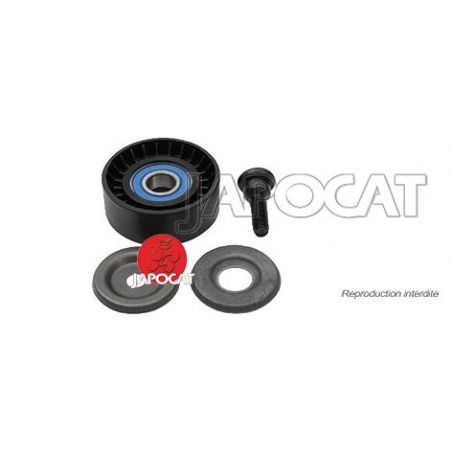 POULIE de Courroie Poly-V