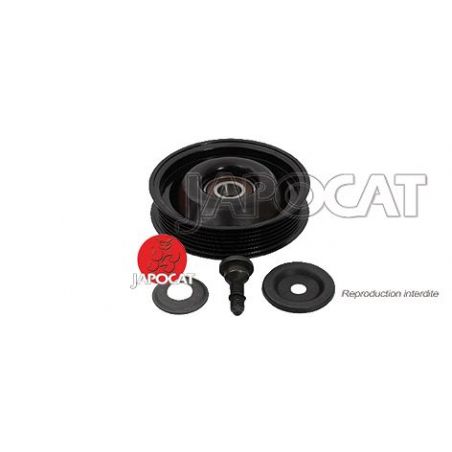 POULIE de Courroie Poly-V