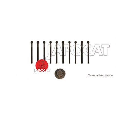 VIS de CULASSE (OEM) (le jeu)