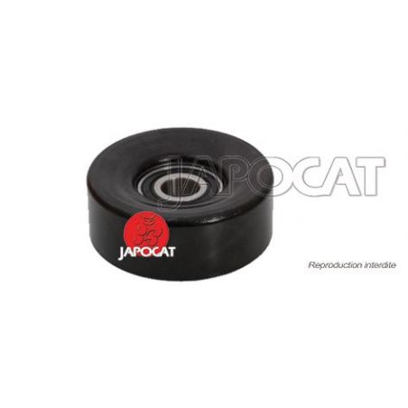 POULIE de Courroie Poly-V