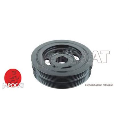 POULIE de VILEBREQUIN