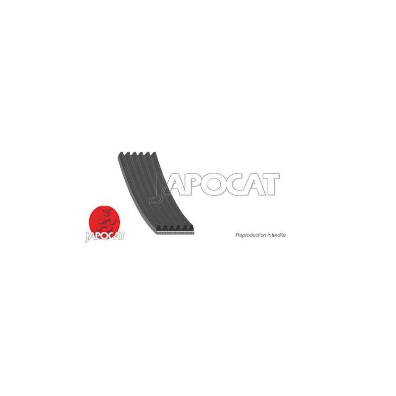 Courroie Poly-V