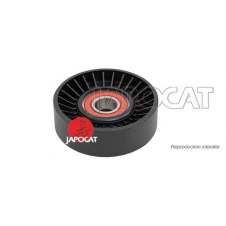 POULIE de Courroie Poly-V