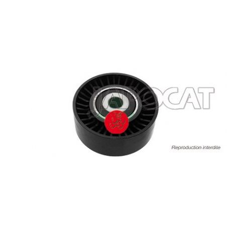 POULIE de Courroie Poly-V