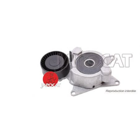 TENDEUR de Courroie d'Accessoires