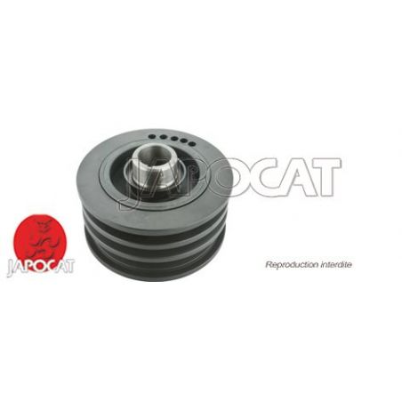 POULIE de VILEBREQUIN