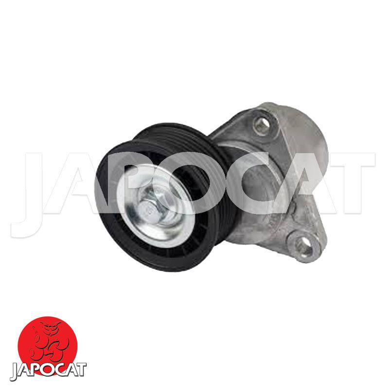 TENDEUR de Courroie d'Accessoires