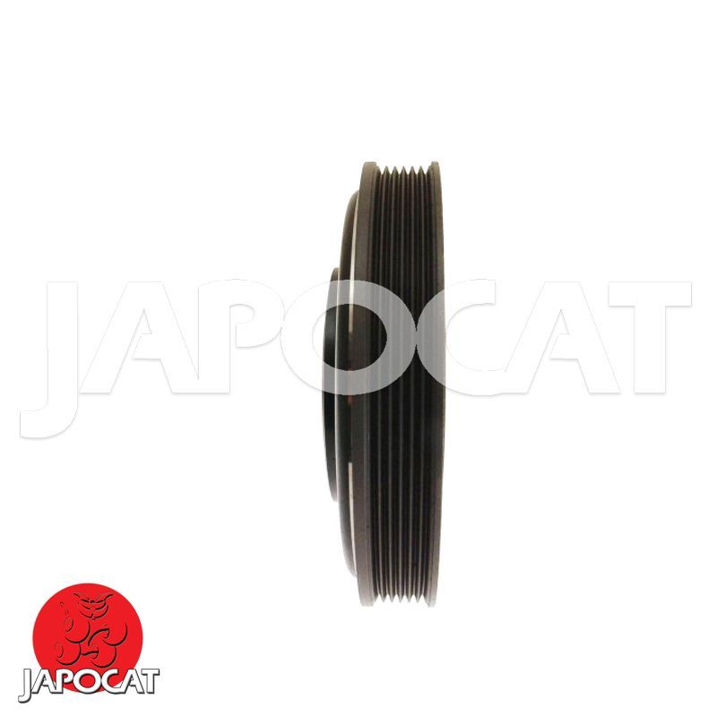 POULIE de VILEBREQUIN