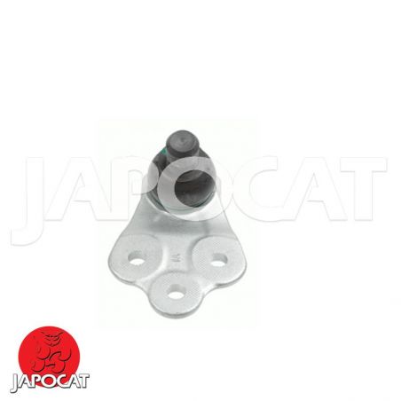 ROTULE Inférieure [Générique]