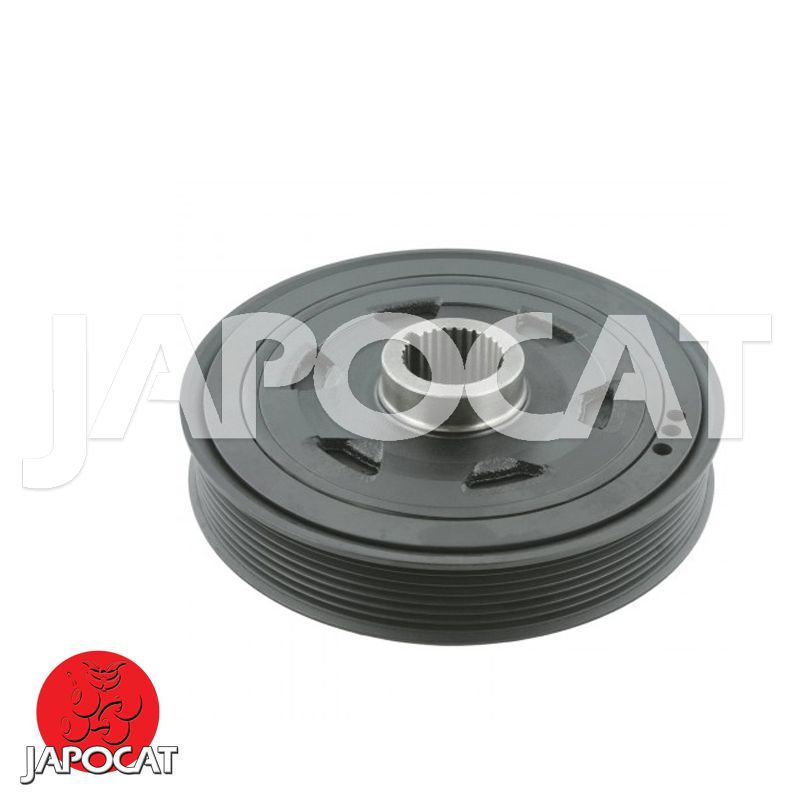 POULIE de VILEBREQUIN