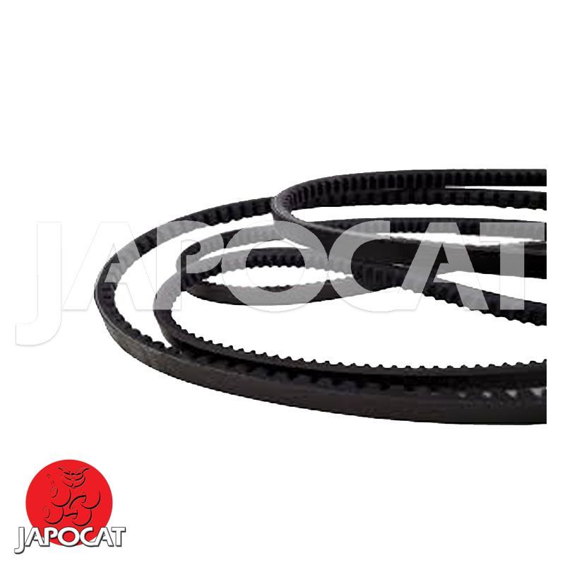 JEU de 2 COURROIES d'ACCESSOIRES