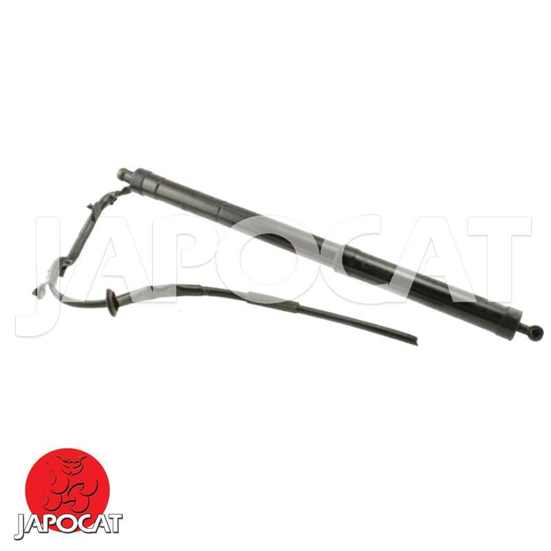 VERIN à GAZ [Origine Constructeur]