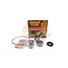 DIFFERENTIAL REPAIR KIT