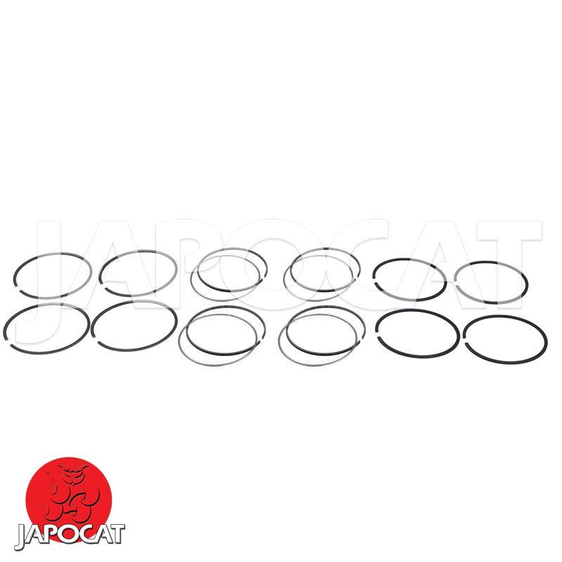 PISTON RING (Set)