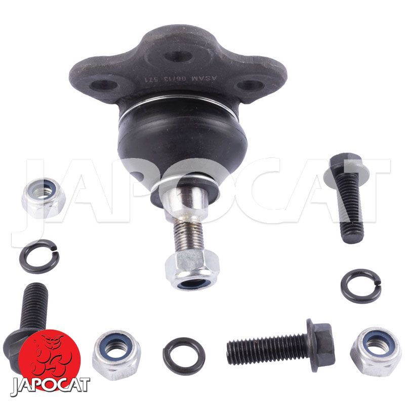 ROTULE Inférieure [Générique]