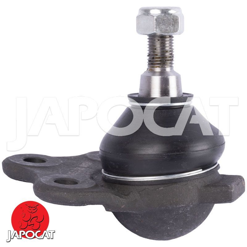 ROTULE Inférieure [Générique]