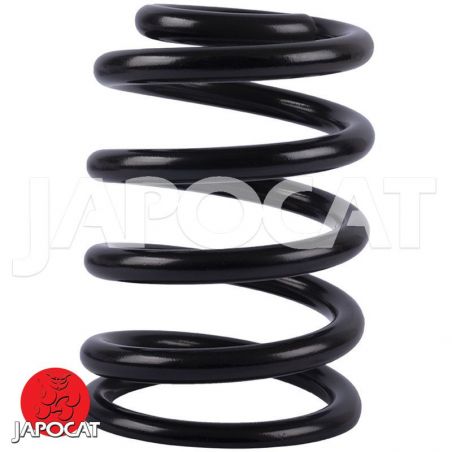 RESSORT Hélicoïdal Arrière Standard
