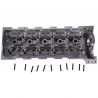 CYLINDER HEAD (Complete) (AMC, Made in Europe)