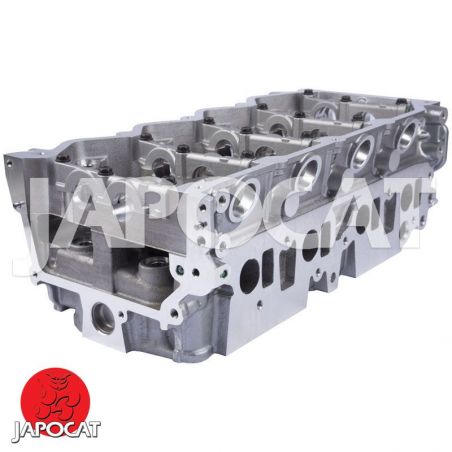 CYLINDER HEAD (Complete) (AMC, Made in Europe)