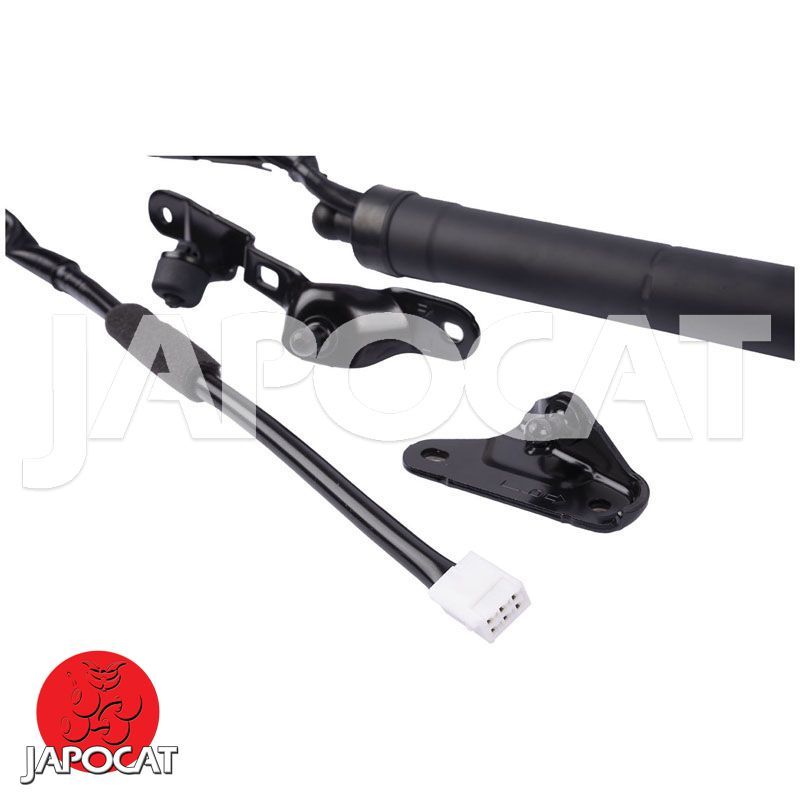 VERIN à GAZ [Origine Constructeur]