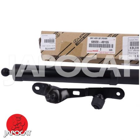 VERIN à GAZ [Origine Constructeur]