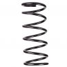 COIL SPRING (Rear, Standard)