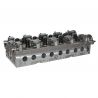 CYLINDER HEAD (Complete)