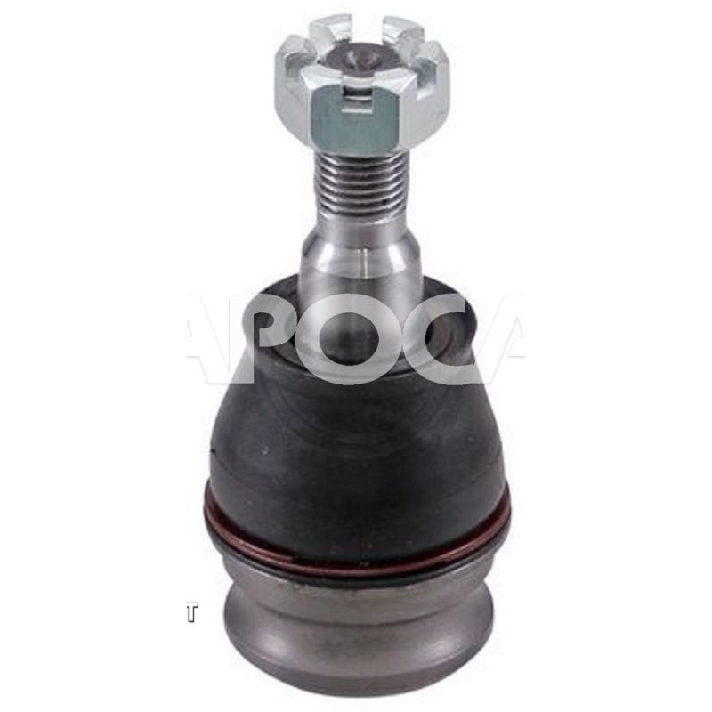 ROTULE Inférieure [Générique]