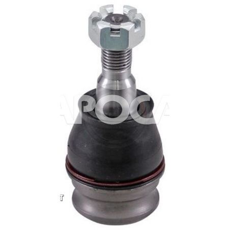 ROTULE Inférieure [Générique]